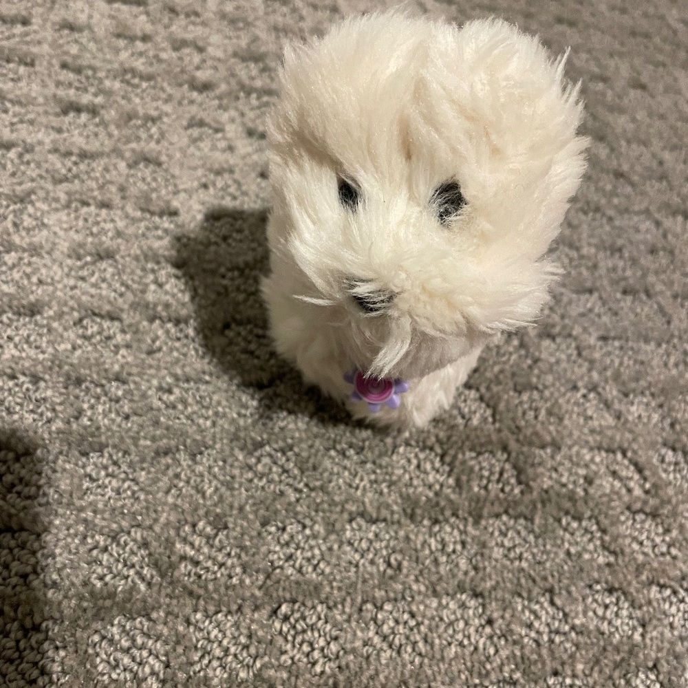 American Girl Westie Dog "Coconut"